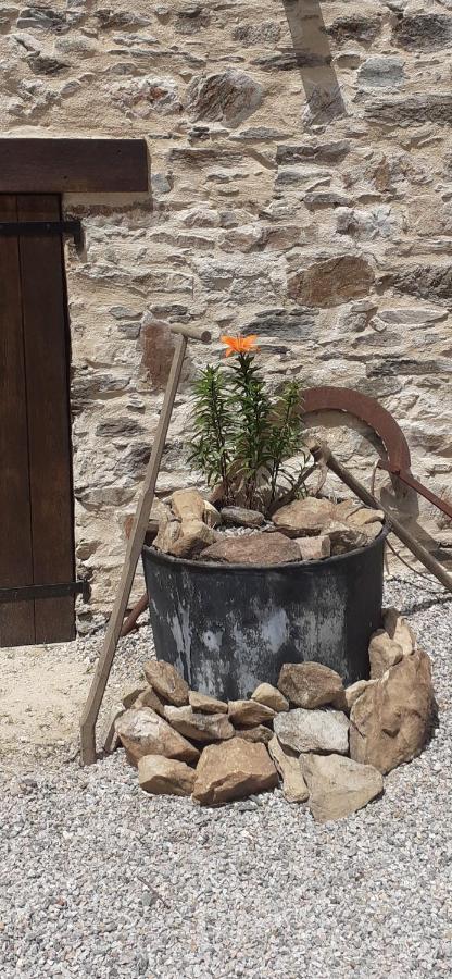 Chambre Dhotes B&B Le Figuier Benayes Exteriér fotografie